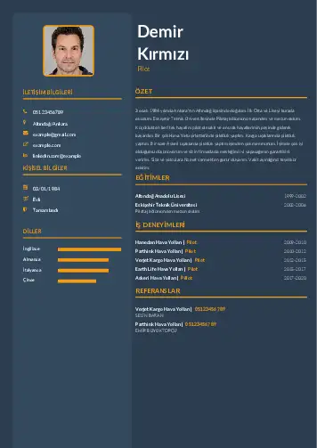 Pilot CV Örnekleri cv indir